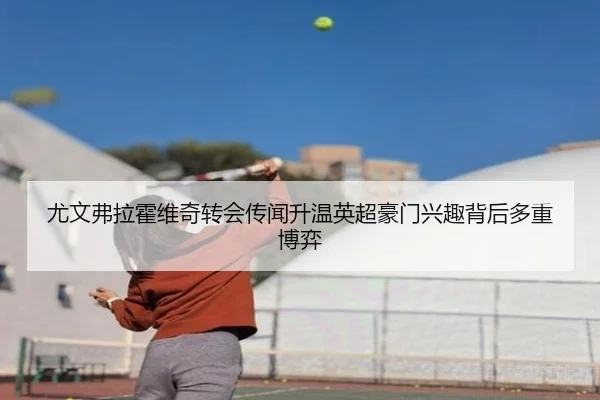 尤文弗拉霍维奇转会传闻升温英超豪门兴趣背后多重博弈